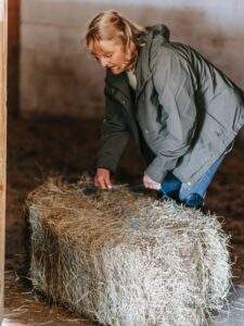 choosing hay
