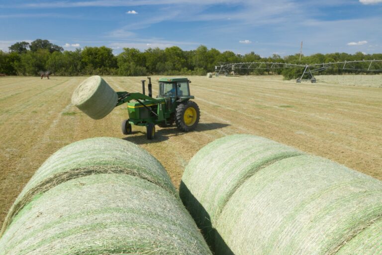 Hay farm