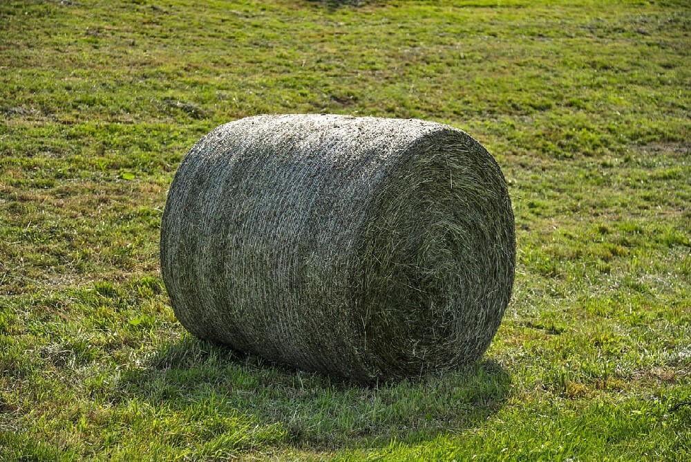 Meadow hay for sale
